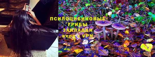 индика Балабаново