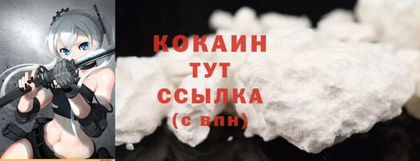 индика Балабаново