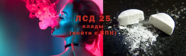 индика Балабаново