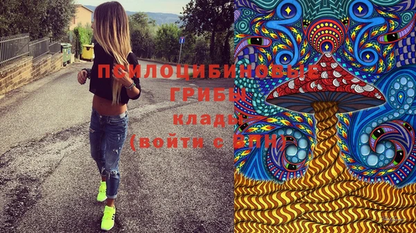 кокс Баксан