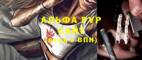 индика Балабаново