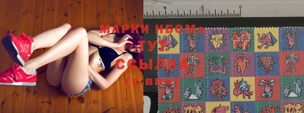 кокс Баксан