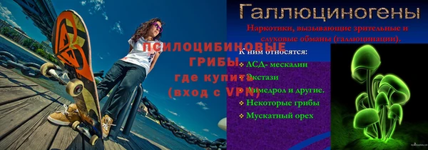 индика Балабаново