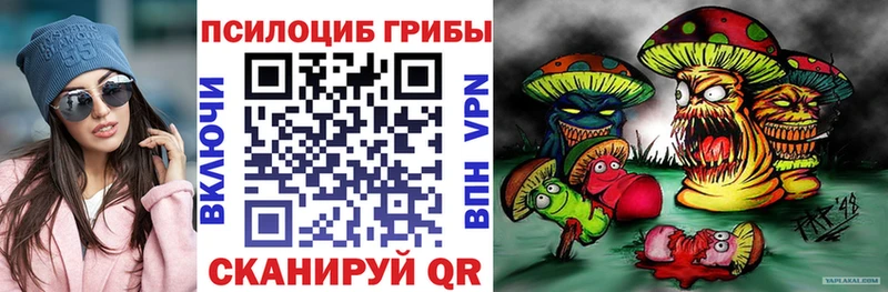 дарк нет как зайти  Печора  Псилоцибиновые грибы MAGIC MUSHROOMS 